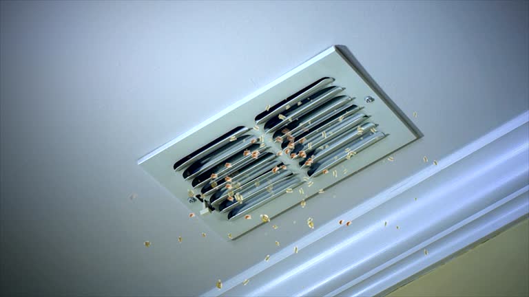 Best Affordable HVAC Duct Cleaning  in Blackshear, GA