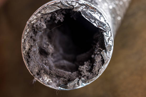 Best General Air Duct Cleaning  in Blackshear, GA
