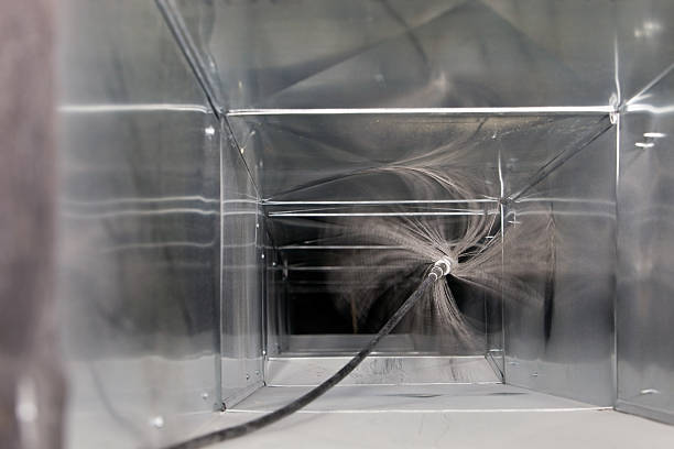 Air Duct Mold Removal in Blackshear, GA