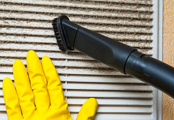 Best Best Air Duct Cleaning Company  in Blackshear, GA